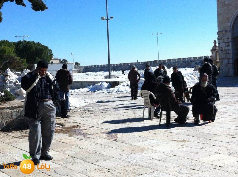 yaffa byareq (20).jpg